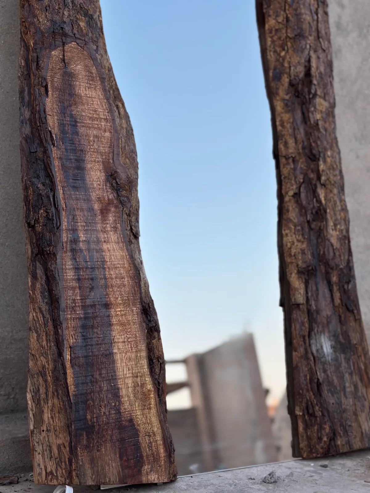 The "Natural Bark" Live Edge Floor Mirror 3